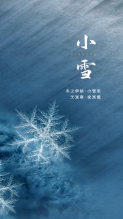 冬之伊始小雪节气海报