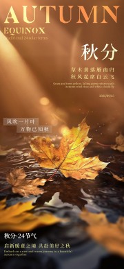 秋分节气宣传广告