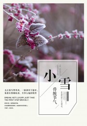 小雪节气宣传图片素材