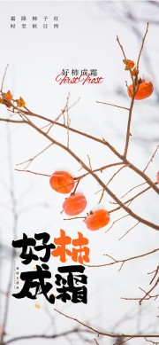 好柿成霜霜降节气海报