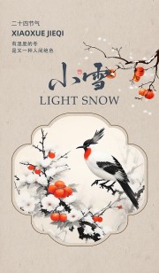 古典韵味传统二十四节气小雪海报