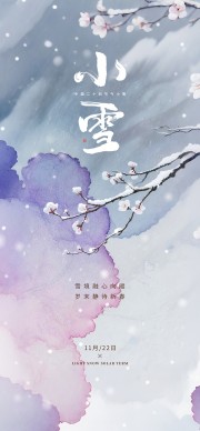 简洁小雪节气海报