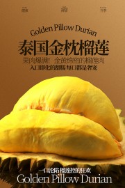 金枕榴莲水果宣传海报图片
