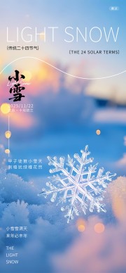 简约小雪节气广告