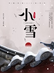 24节气小雪海报设计