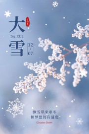 寒冬飘雪创意质感大雪节气海报