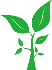 卡通树枝矢量图片素材