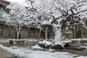 北方四合院雪景
