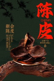 生晒干仓新会陈皮宣传海报