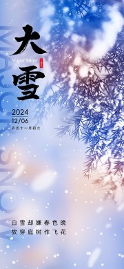 蓝色中国传统节气大雪海报