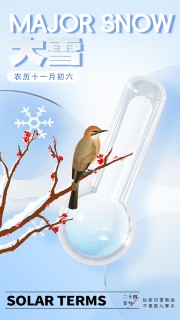风雅古风传统二十四节气大雪海报