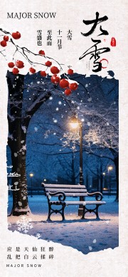 简约大雪节气海报