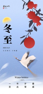 至此雪盛中国传统节气冬至海报