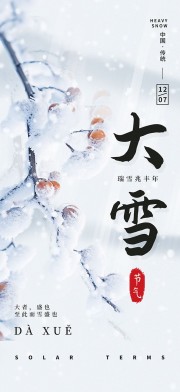 唯美冬季冬天大雪二十四节气海报