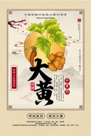 中药医术大黄药理知识宣传海报