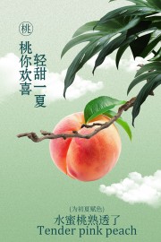 夏季水蜜桃轻甜一夏水果海报