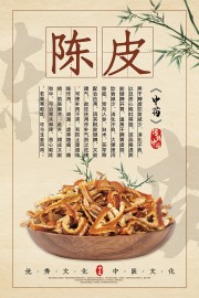 简约中医文化陈皮药理知识海报