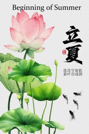 立夏荷花绽放传统二十四节气海报