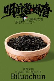 新鲜采摘明前碧螺春茶叶宣传海报
