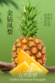 自然新鲜金钻凤梨水果宣传海报图片
