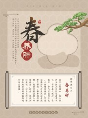 中医文化四季养生宣传海报