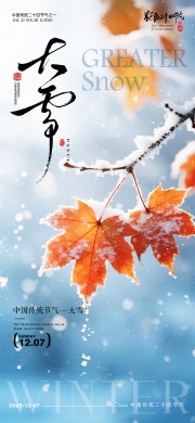 大雪节气海报