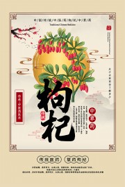 枸杞中医文化宣传图片下载
