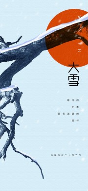 唯美清新二十四节气大雪广告