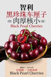 智利黑珍珠车厘子水果海报
