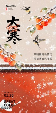 中国风二十四节气大寒红墙海报