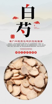 中医养生白芍科普海报图片素材