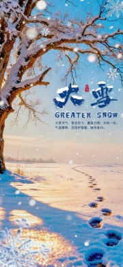 大气大雪节气海报