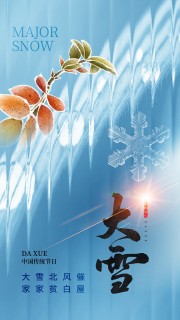 大气大雪节气广告