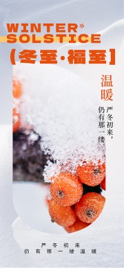 传统二十四节气冬至海报
