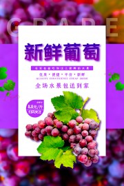 新鲜葡萄海报设计模板