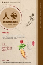 中医养生药学人参药理知识海报