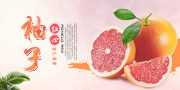 柚子海报设计图片素材下载