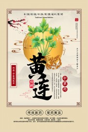 中药医术黄连药理知识宣传海报
