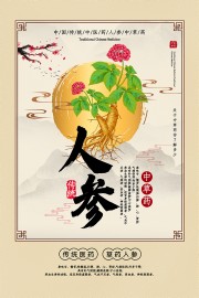 中药医术人参药理知识宣传海报