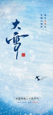 蓝色雪景大雪节气宣传广告