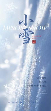 冬季雪花主题小雪节气宣传海报