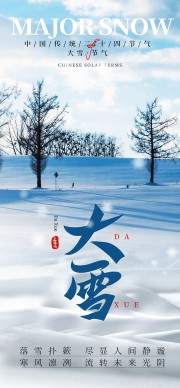 简洁大雪节气海报