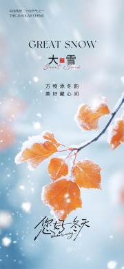 大雪中国传统节气海报