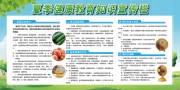夏季健康教育知识宣传栏