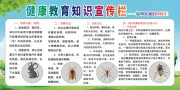 除四害健康知识宣传栏