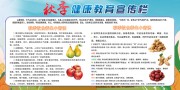 秋季健康教育宣传栏图片下载