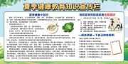 夏季健康教育知识宣传栏图片下载