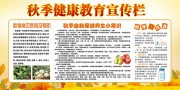 秋季健康教育宣传栏
