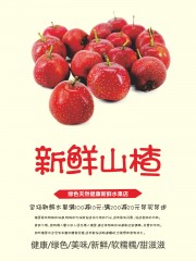 新鲜山楂水果海报图片素材
