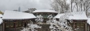 宽幅雪中传统古建庭院全景
